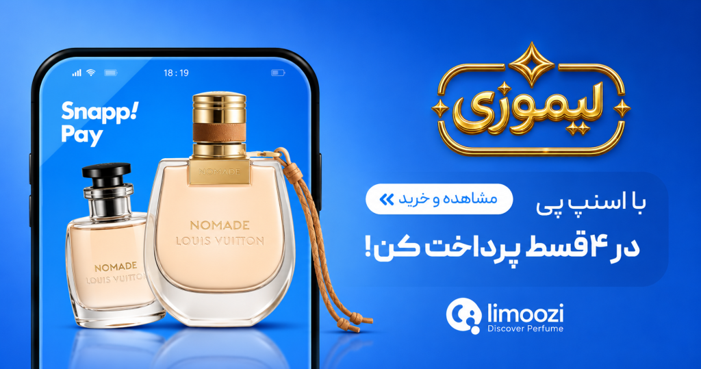 snapppay-limoozi.com